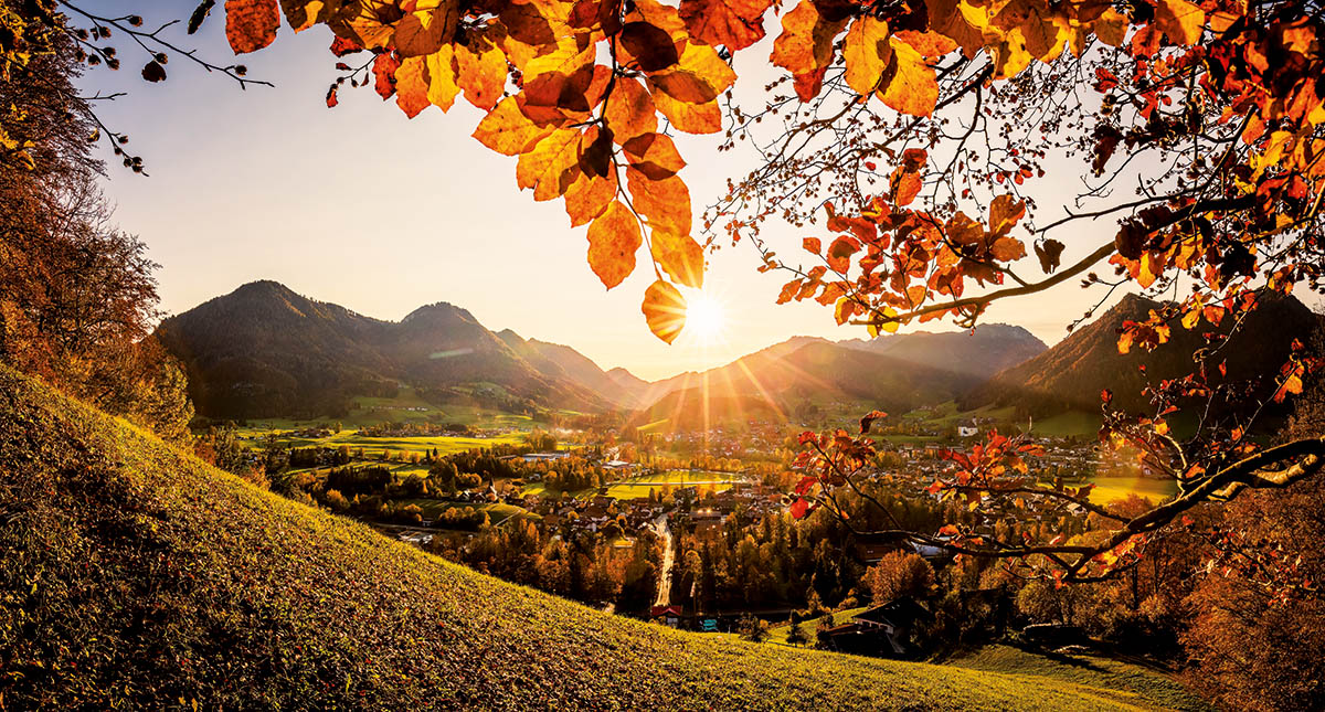 Schonen Sonntag Herbst Eintauchen In Die Goldene Jahreszeitfeed