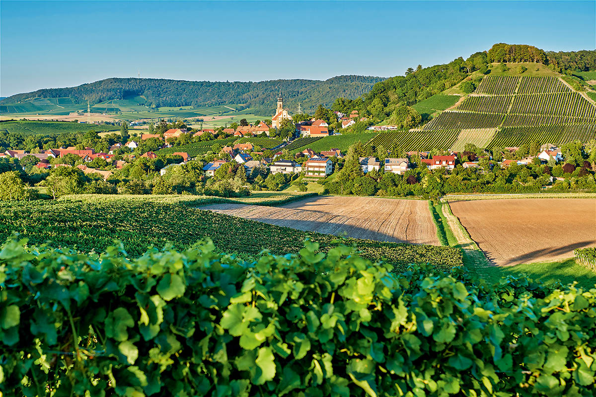Alles, und ganz viel davon Bayern