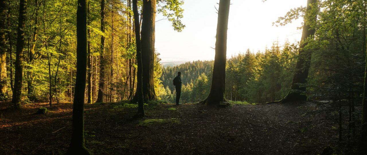 Wandern im Land des Lichts, Nordjütlands Ostseeküste<span class="sponsored_text"><br>ANZEIGE</span>