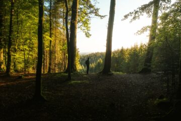 Homepage