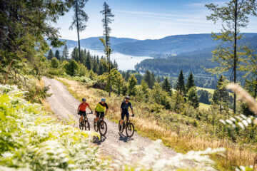 Gipfeltrail im Schwarzwald