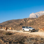 Oman Camping