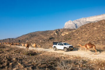 Offroad durch Oman: Wadis, Wüste, Weihrauch
