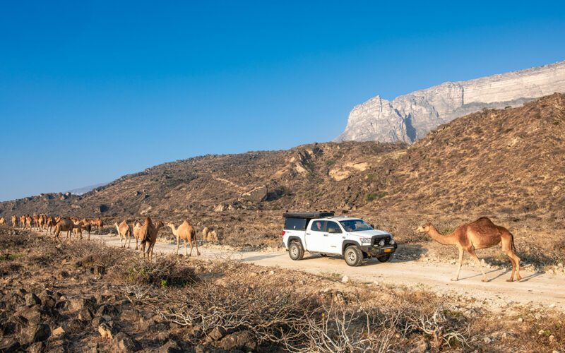 Oman Camping