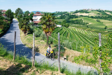 Weinberge und Meer mit dem Rad erleben