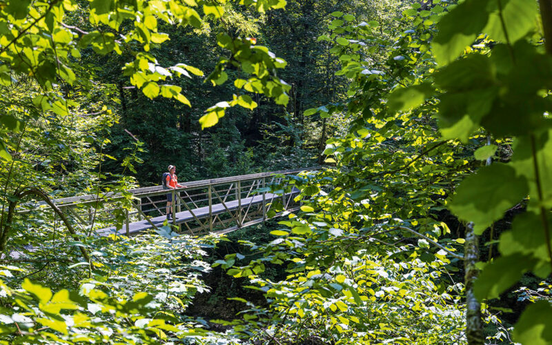 Schwarzwald
