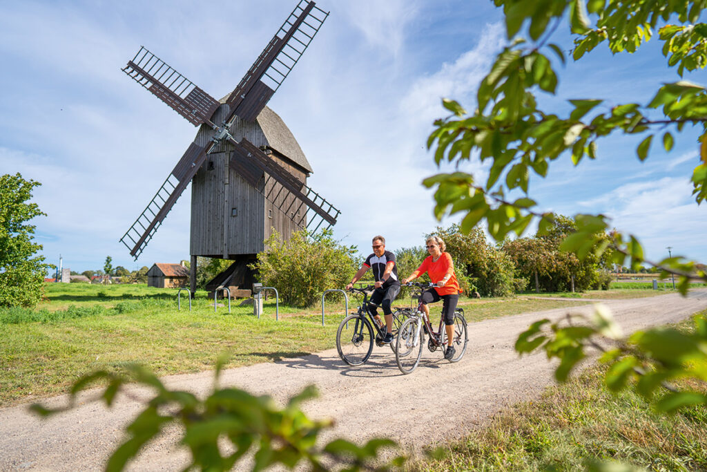 Bockwindmuehle-Duebener-Heide-Fiehn-Authausen-Radfahren-Region-Leipzig-Tom-Williger