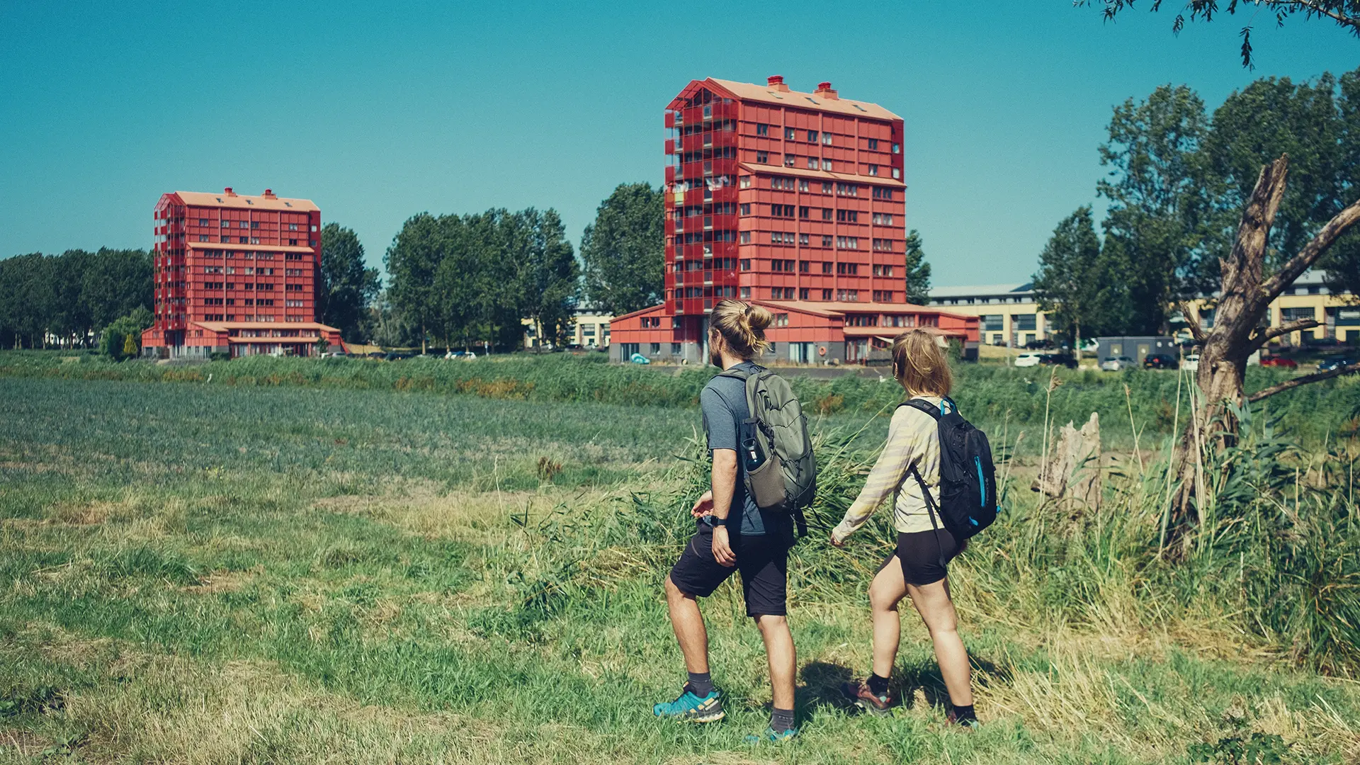 Flevoland Wandern