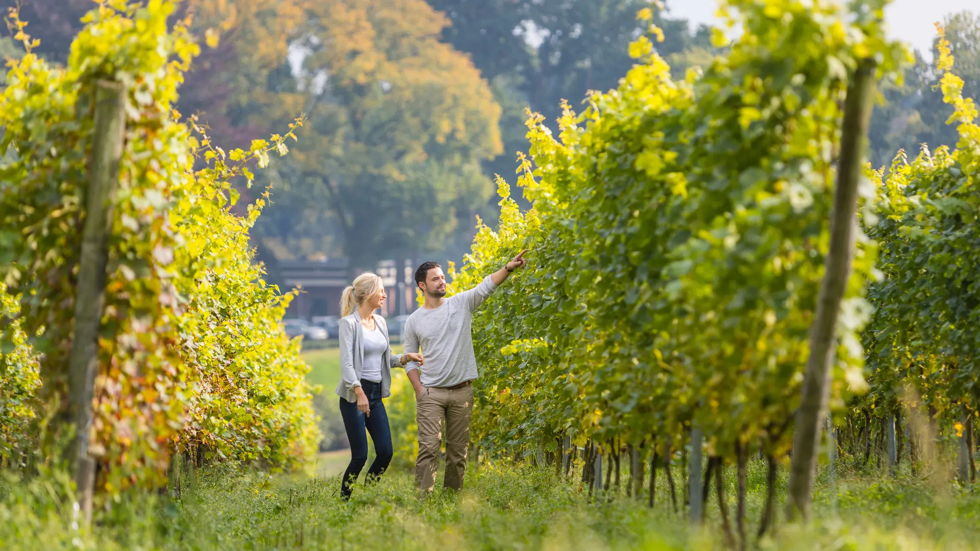 Weinroute Groesbeek