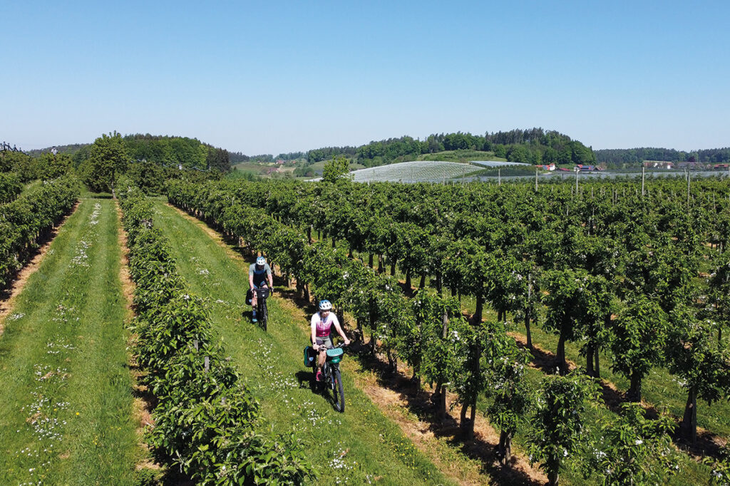 Radurlaub am Bodensee