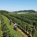 Radurlaub am Bodensee
