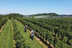 Radurlaub am Bodensee