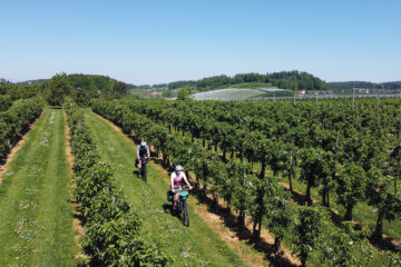 Nachhaltiger Radurlaub am Bodensee – 3 Tagestouren