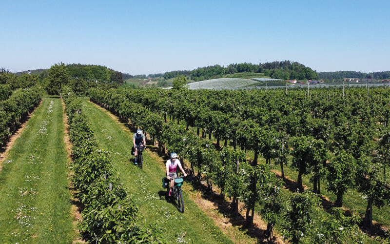 Radurlaub am Bodensee