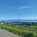 Bodensee Gravelbike