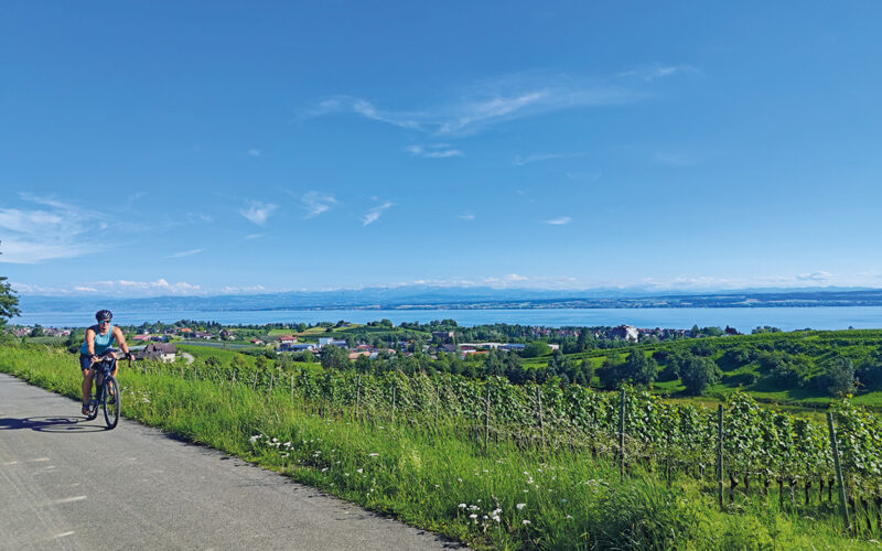 Bodensee Gravelbike