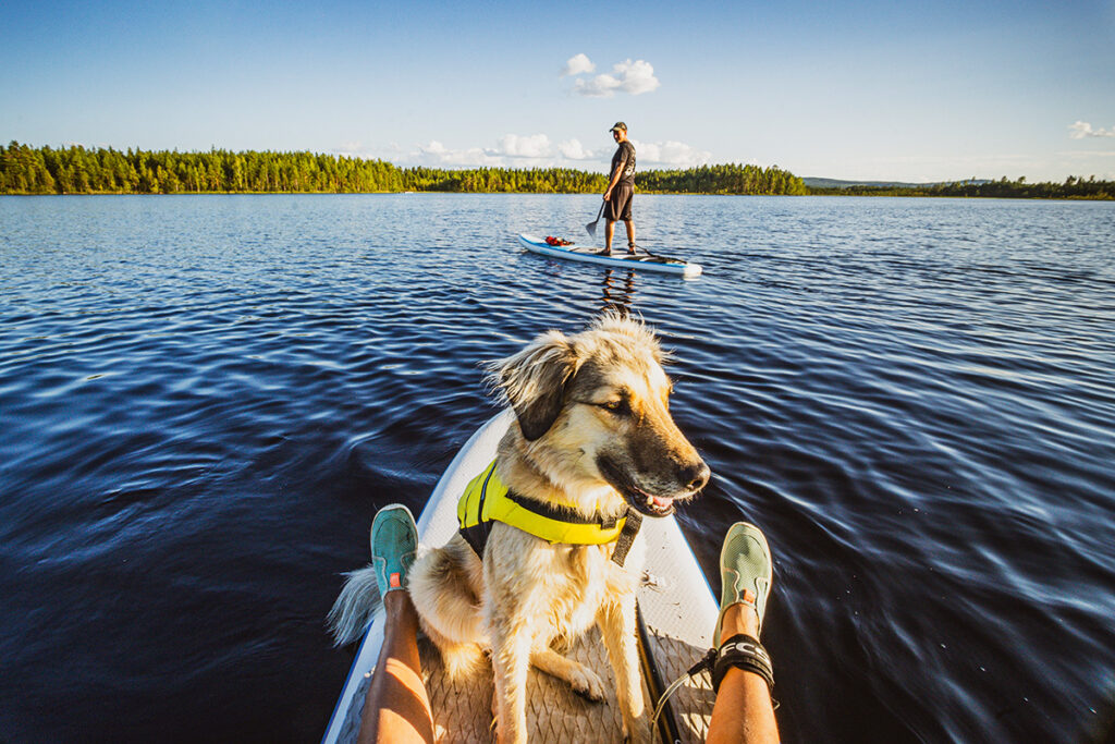 SUP Nationalpark Schweden