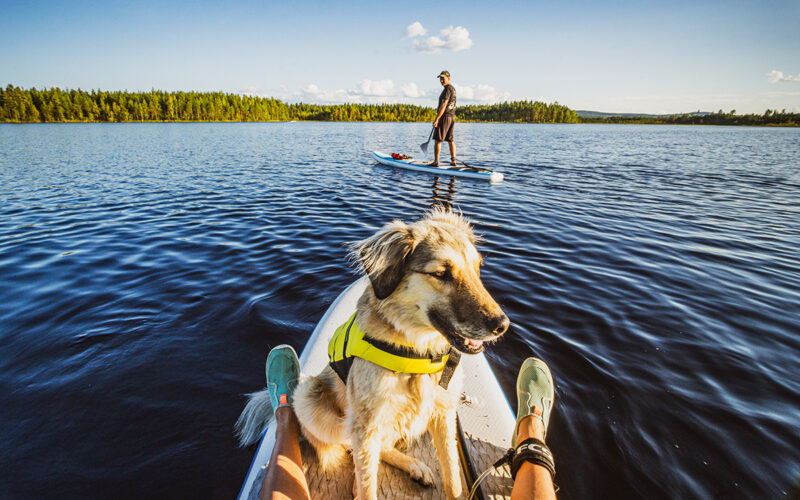 SUP Nationalpark Schweden