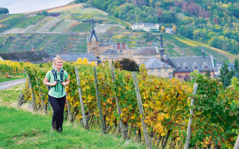 AhrSteig, Ahrweiler Kloster Kalvarienberg