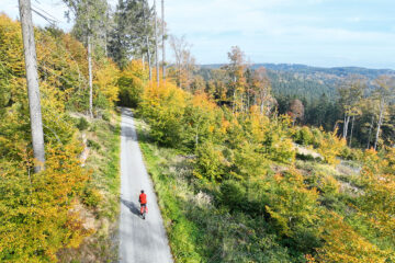 RockHead-Route im Herbst: Laubblätter und Höhenmeter