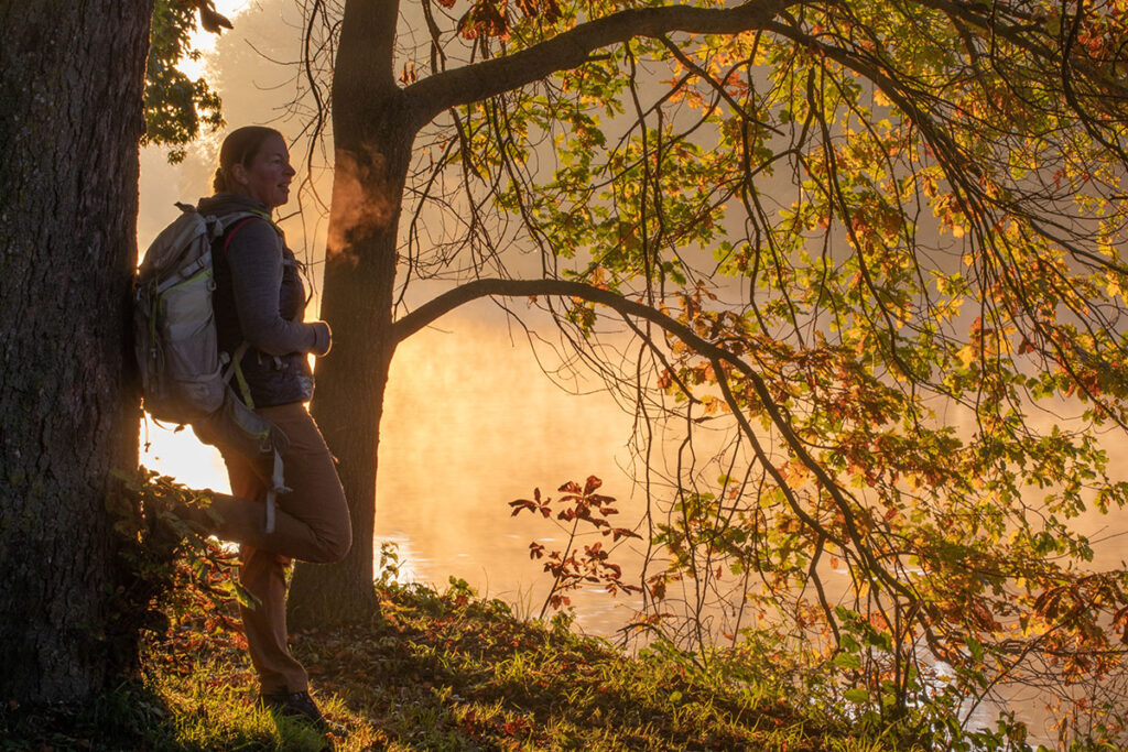 Wanderin im herbstlichen Donau Wald