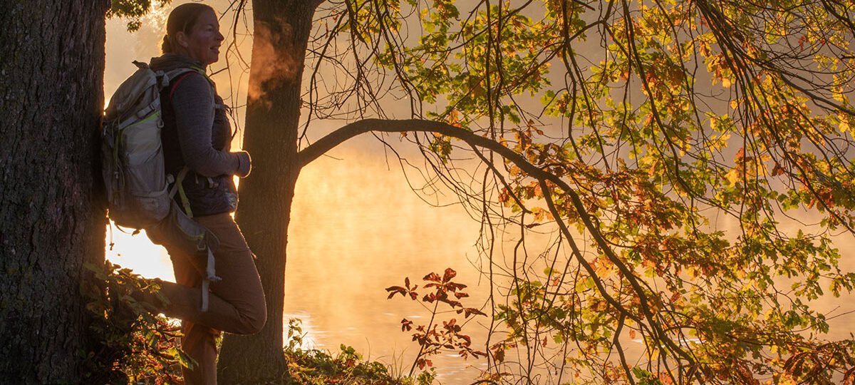 Wanderin im herbstlichen Donau Wald