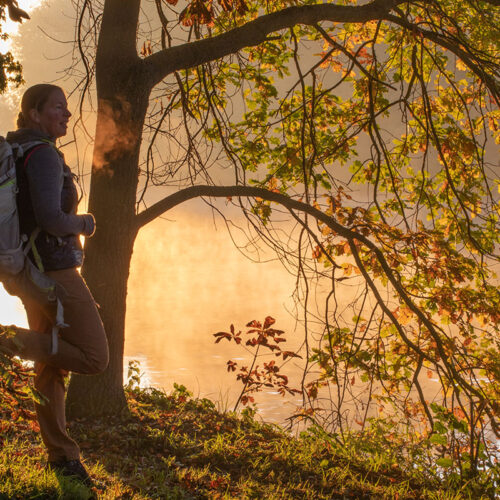 Goldene Pfade im DonAUwald<span class="sponsored_text"><br>ANZEIGE</span>