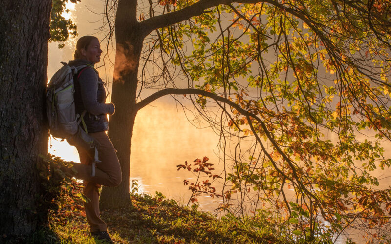 Goldene Pfade im DonAUwald<span class="sponsored_text"><br>ANZEIGE</span>