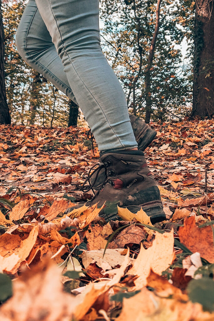 Wandern im Herbst im Donauwald