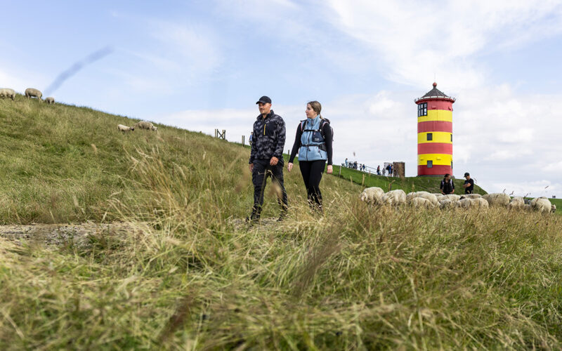Nordsee-Wandertage: 4. – 11. Oktober 2025<span class="sponsored_text"><br>ANZEIGE</span>