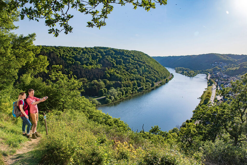 PremiumWanderWelten Traumpfad Rhein Mosel