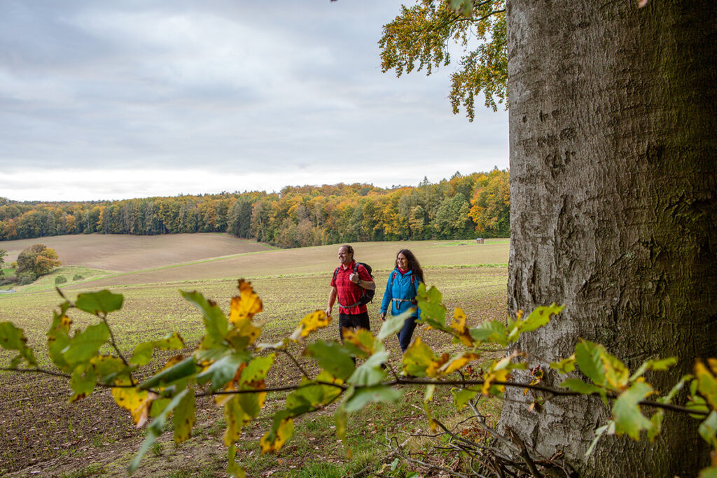 Wanderer im Westerwald auf dem GelbACHTrail