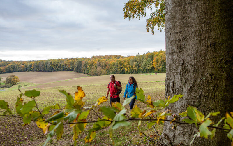 Wanderer im Westerwald auf dem GelbACHTrail