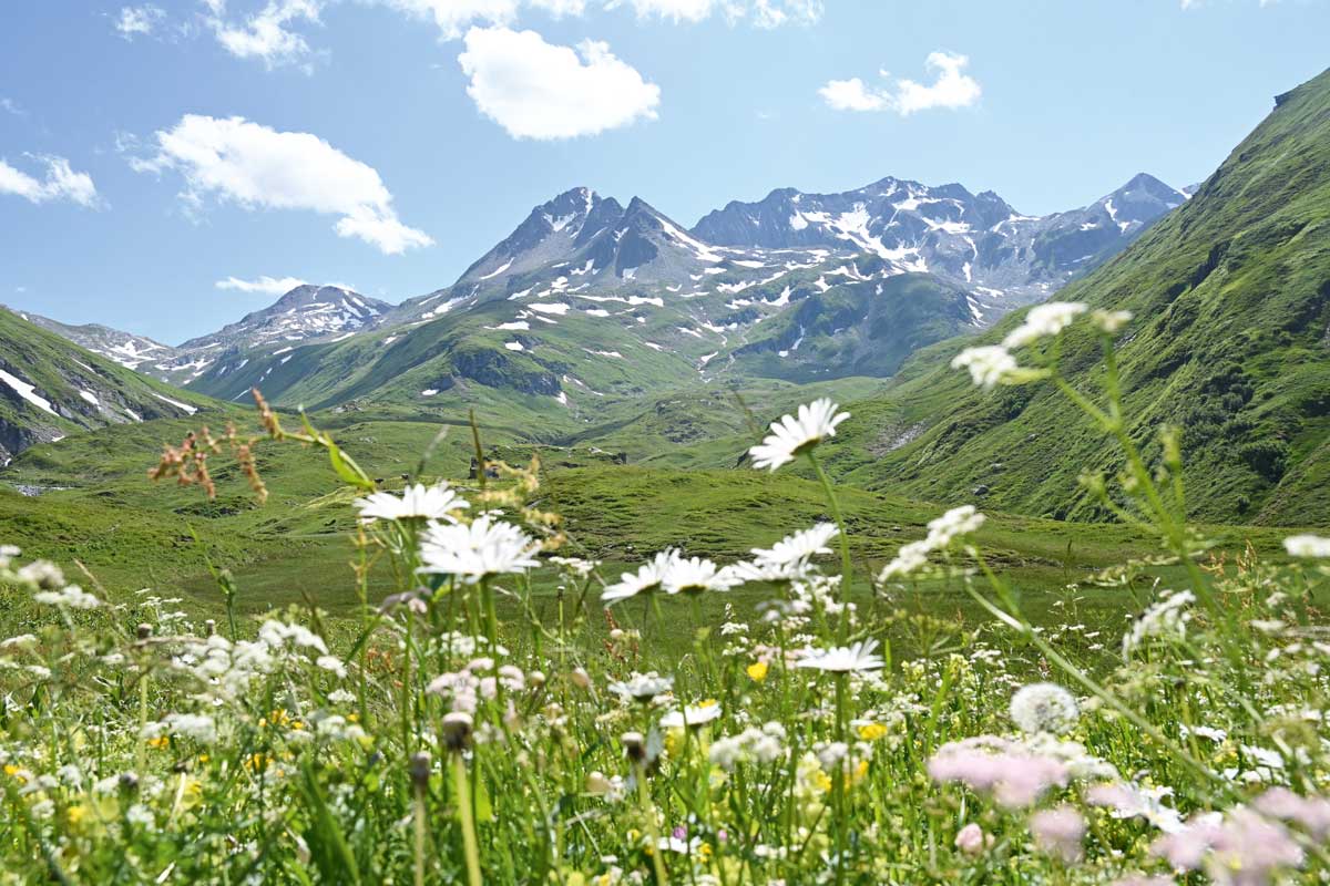 Landschaft im Kanton Uri
