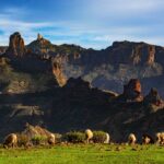 Vulkan Wanderung Gran Canaria