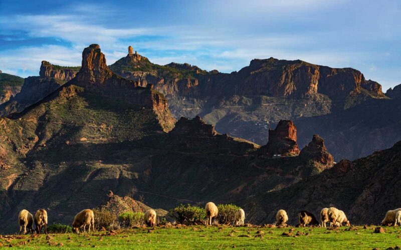 Vulkan Wanderung Gran Canaria