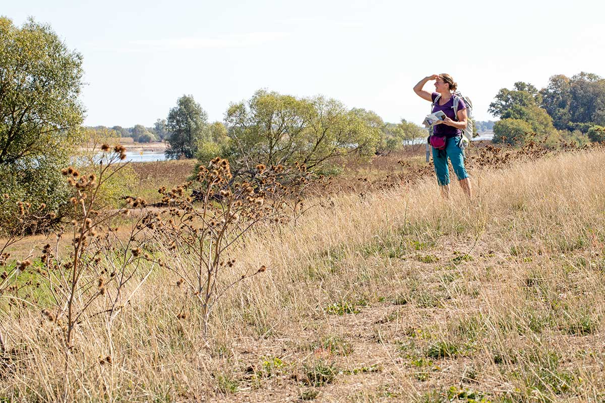 Wanderin an der Elbe