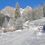 Vidor Resort Camping