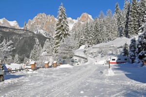 Vidor Resort Camping