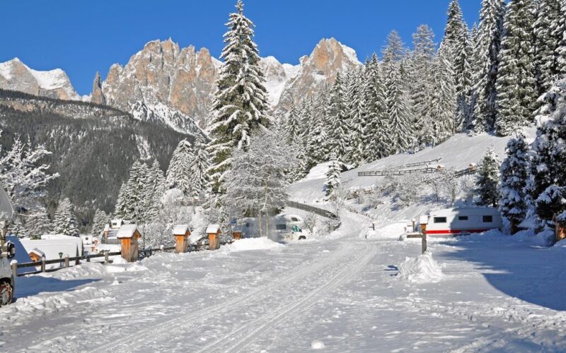 Vidor Resort Camping