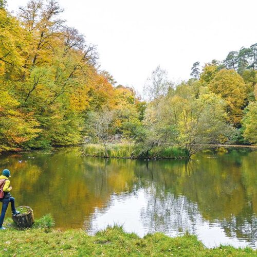 Wunderbar Wanderbar – Mehrtagestour auf dem saarländischen Bliessteig