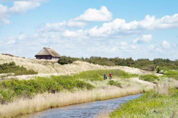 Auf zwei Rädern durch Jütland