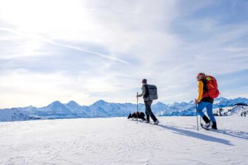 Schneepracht zwischen Emmental und Berner Oberland