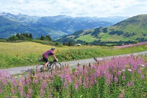 Schweizer Alpen: Alpine Bike 1