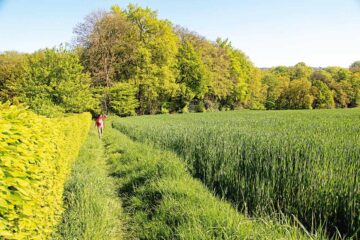 Zwischen Rhein und Ruhr: Wanderland Neanderland