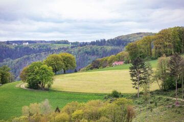 3 Wanderwege im Westerwald