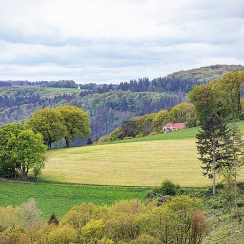 3 Wanderwege im Westerwald