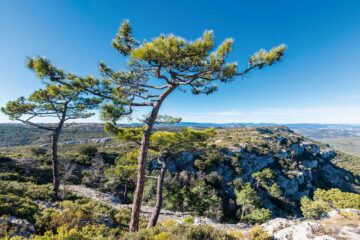 Wandern im Naturpark Chera–Sot de Cherain der Region Valencia