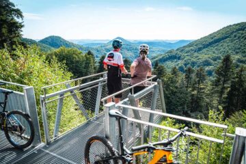 Mountainbikerevier Deluxe: Auf alten Wegen durch den Pfälzerwald