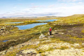250 Kilometer durch die Hardangervidda – Wandern in Norwegen